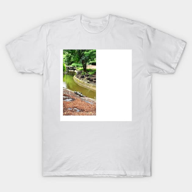 japanese zen garden with turtles maybe ninjas art T-Shirt by jorge_lebeau